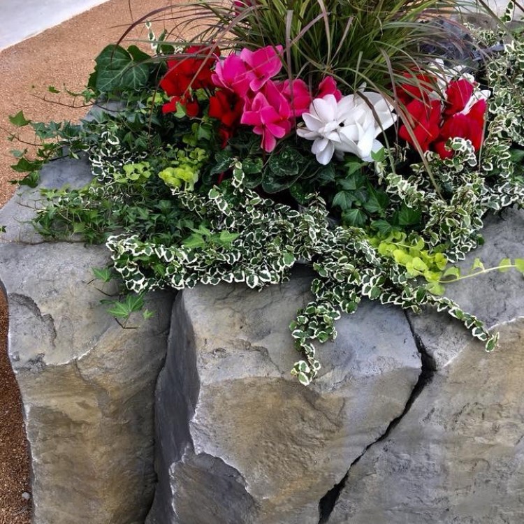 Hardscaping Services in Chicago, IL
