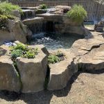 Hardscaping Services in Chicago, IL