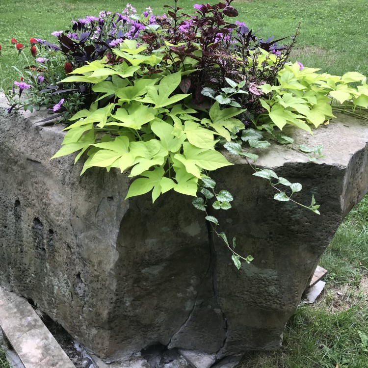 Hardscaping Services in Chicago, IL